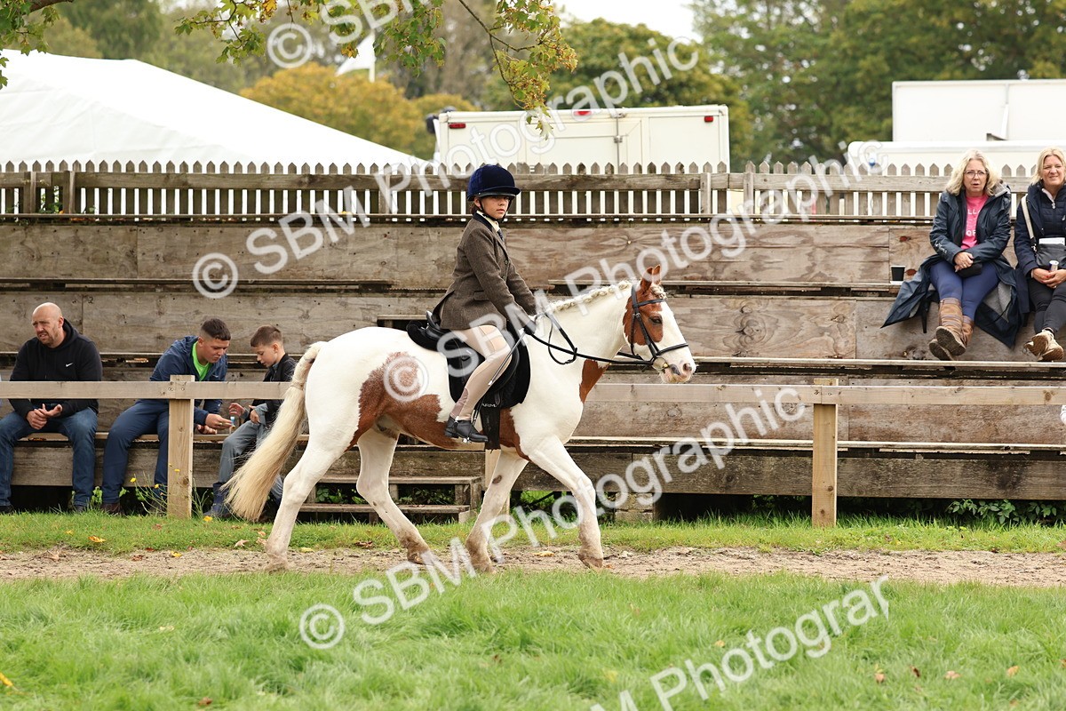 SBM_64431 - S58 - Coloured Pony Ridden