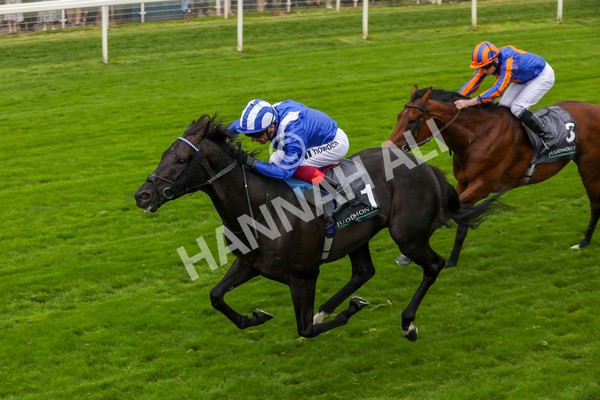 230823-Race 4-Mostahdaf-4292 - Race 4 3.35pm Juddmonte International Stakes