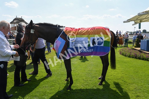 160623-Race 3-Radio Goo Goo-0245 - Race 3 3.00pm British EBF Supporting Racing With Pride Fillies' Handicap