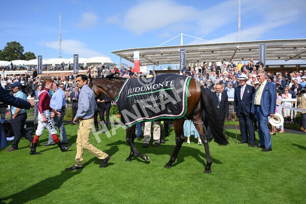 yr18082021r4-148 - Race 4 3.35pm Juddmonte International Stakes (British Champion Series race)