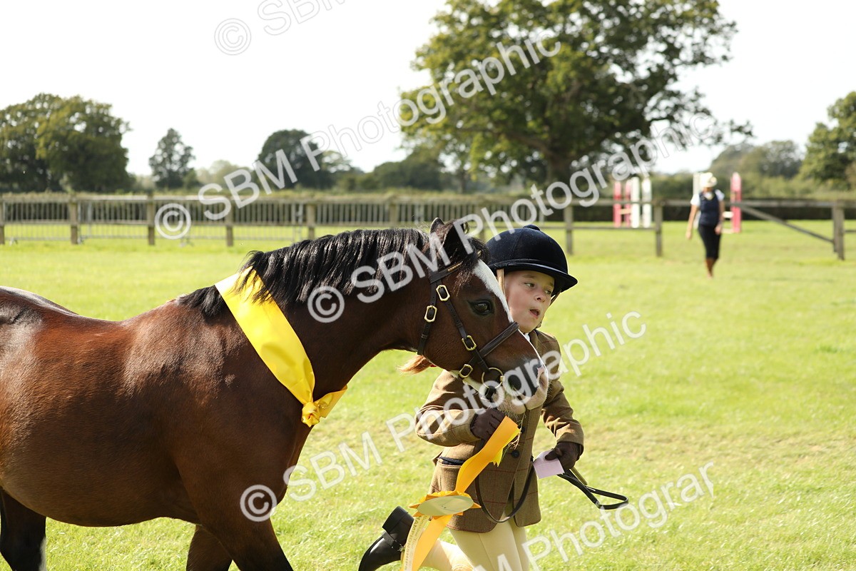 SBM_67880 - S39 - Junior Handler 8  Years & Under