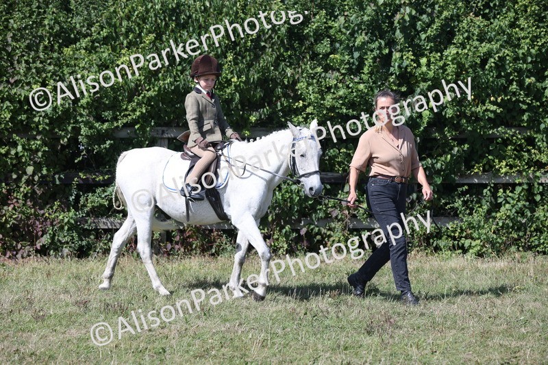 20250831-3140 - Class 24 - Absolute Beginners Pony