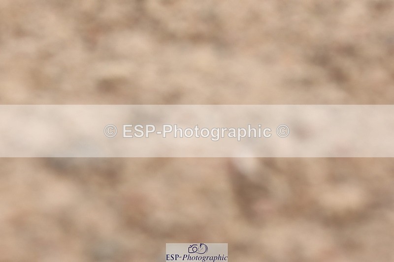 240706A-110808-01247 - Cls 2D Snr Prelim 18 Start to 12 break