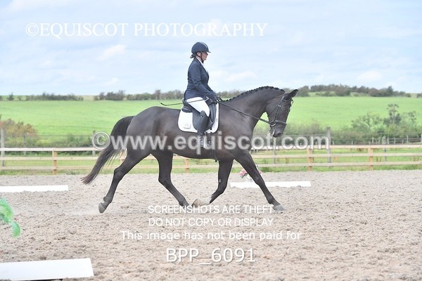 BPP_6091 - NOVICE TEST 4 + 6 LONG ARENA