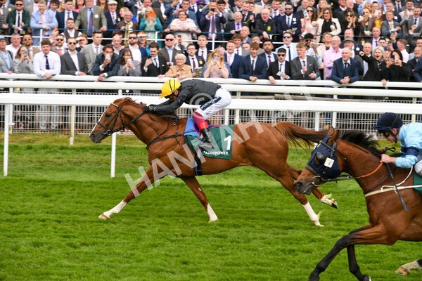 yr13052022r4-52 - Race 4 3.35pm The Paddy Power Yorkshire Cup (British Champions Series Race)