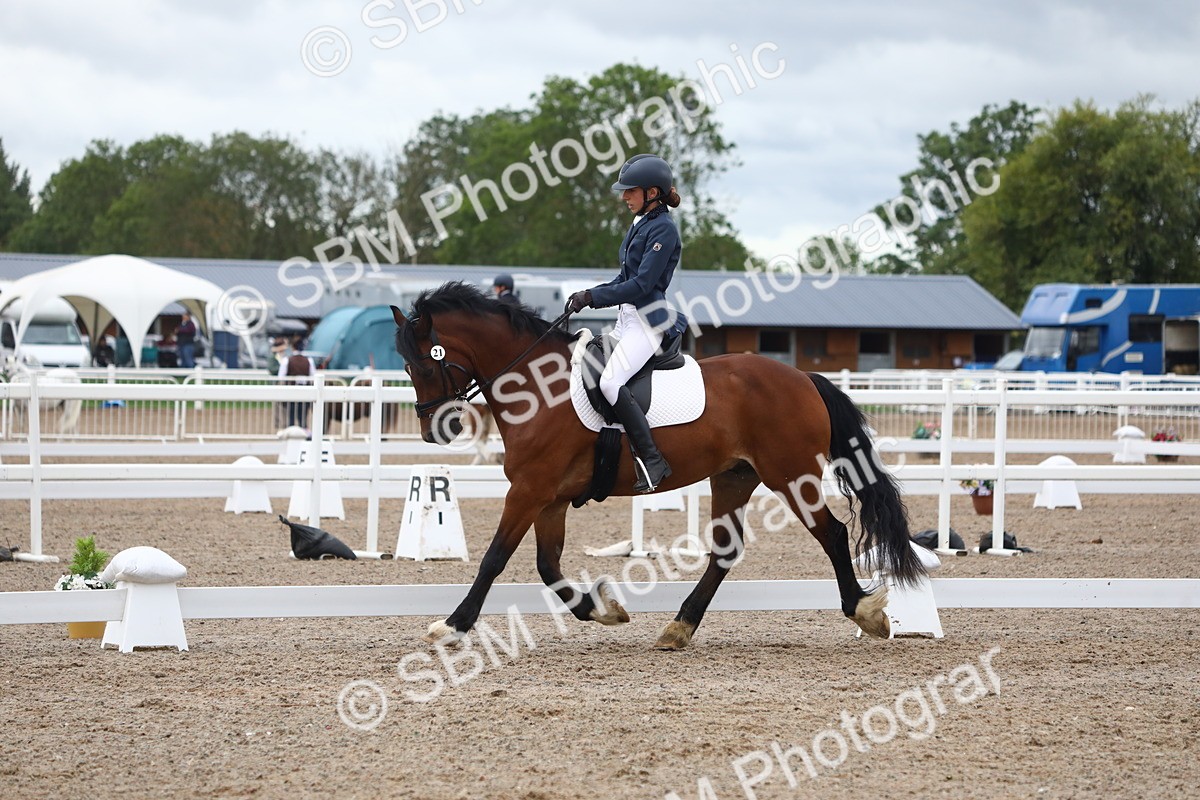 SBM_00456