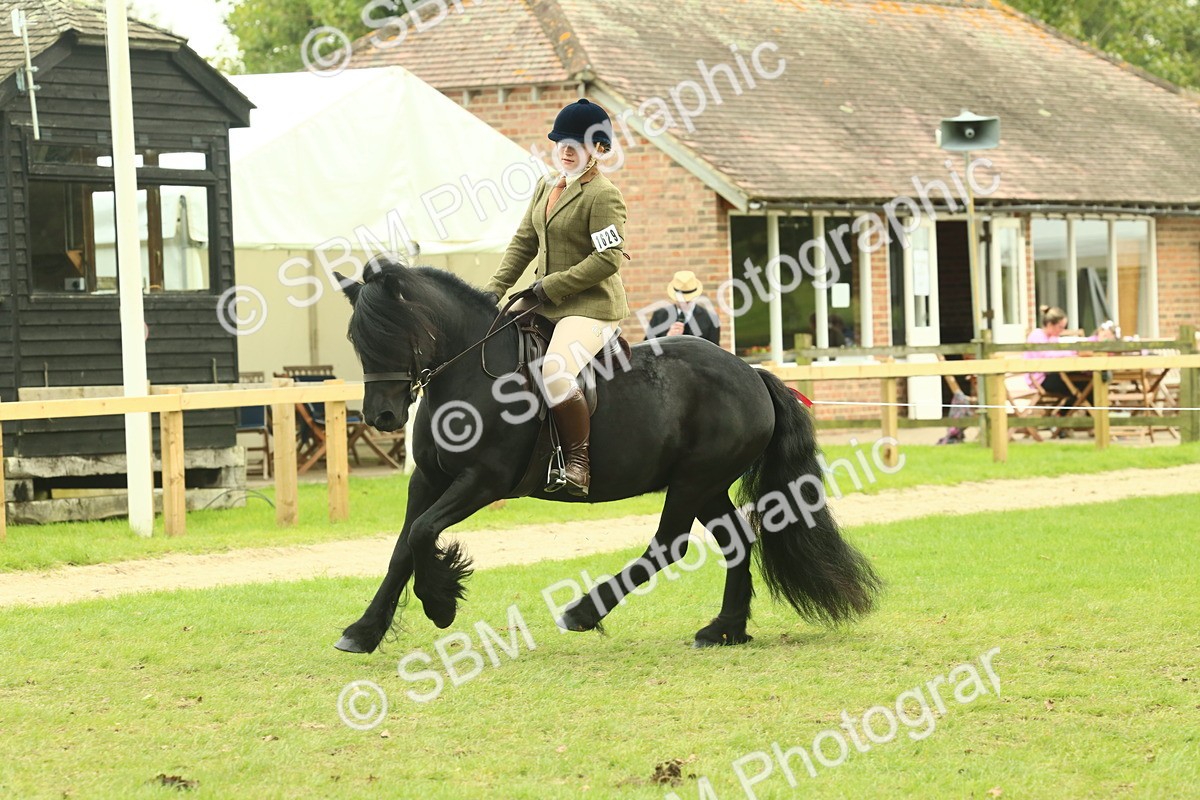 SBM_71932 - S60 - Mountain & Moorland Ridden Large Breeds