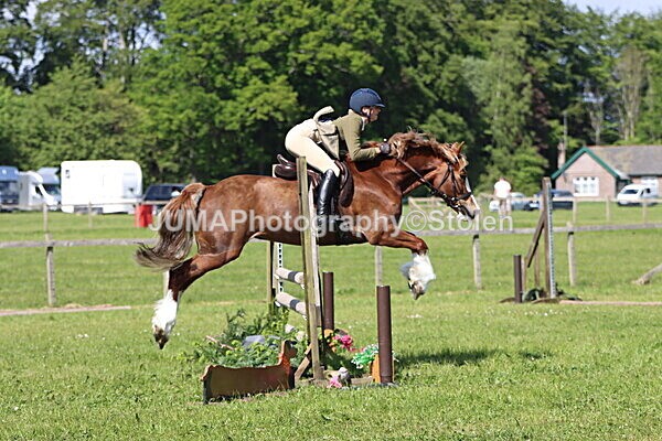 IMG_4743 - Working Hunter