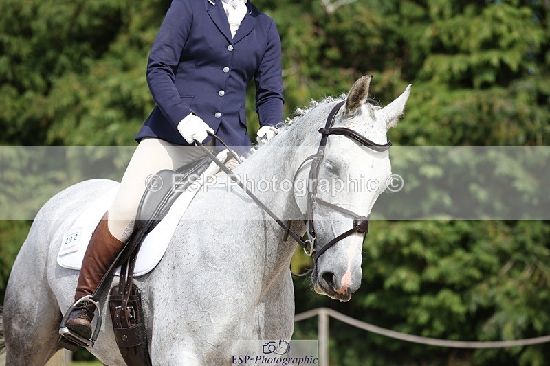 230811-152709-02446 - Cls 1 Prelim Bronze 15.00 to End