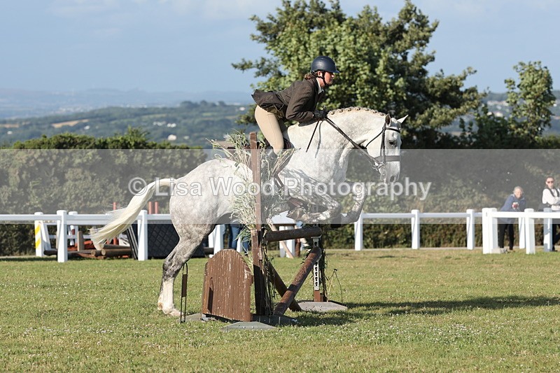 JPP_3413 - Class 22: Working Hunter 90cm