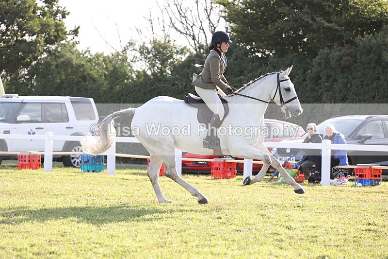 JPP_3500 - Class 22: Working Hunter 90cm