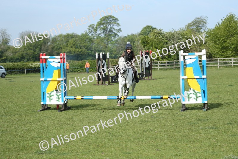 20260426-0212 - Class 13 - Rookie Jumping 50cm