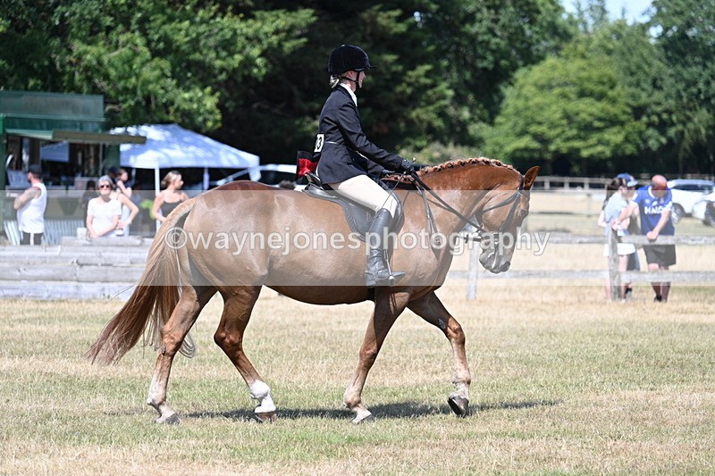 WJ7_3640 - Class 8 Ridden Veterans