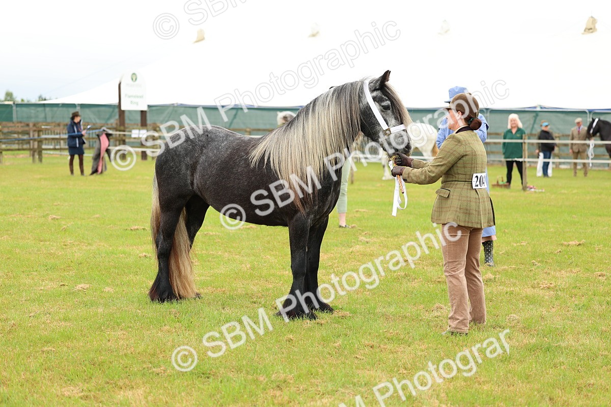 SBM_00386 - Class 58-67 - M&M Non Welsh Pony In hand