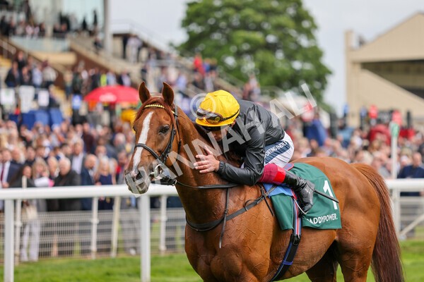 yr13052022r4-78 - Race 4 3.35pm The Paddy Power Yorkshire Cup (British Champions Series Race)