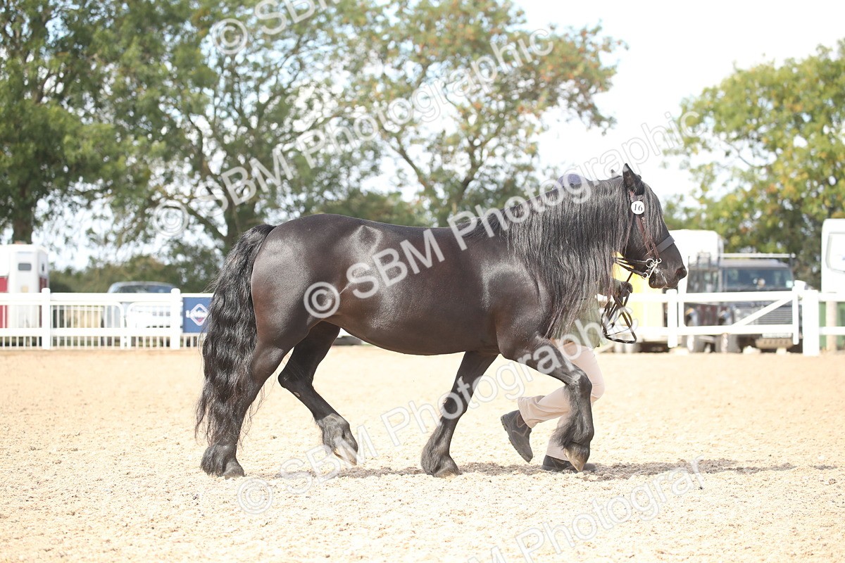 SBM_23083 - Class 606 - 2026 - Area - IH Pre Vet