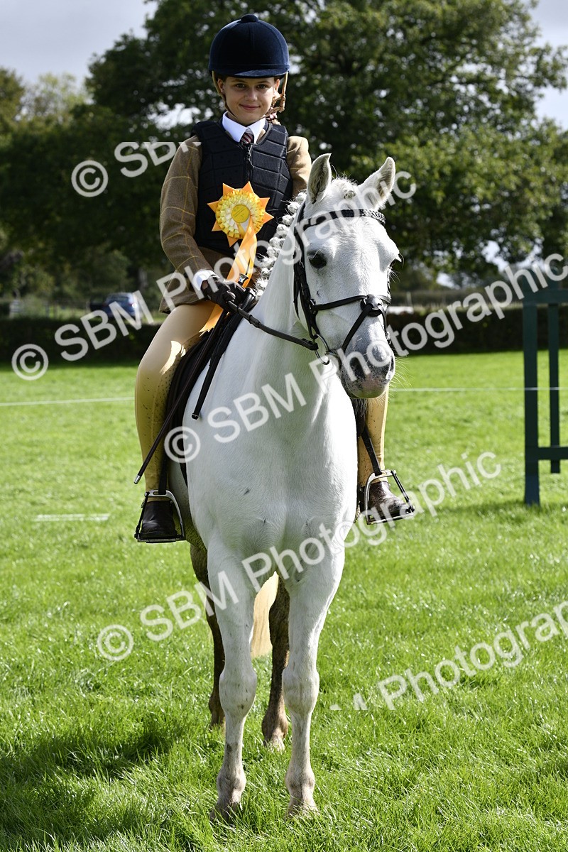 SBM_41651 - S32 - Mountain & Moorland Working Hunter Pony