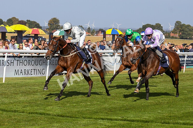 310824-Race 5-Bassadanza-1810 - Race 5