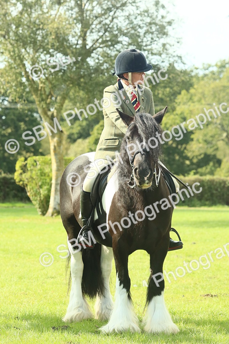 SBM_68940 - S58 - Mini Show Cob Ridden