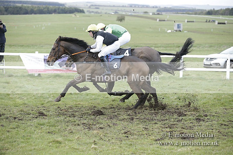 PtP 150320 0736 - New Forest Point-to-Point Larkhill 15/03/20