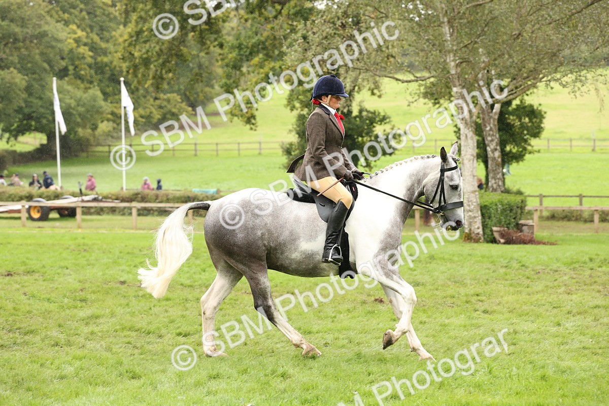 SBM_69889 - S68 - Other Coloured Horse Ridden