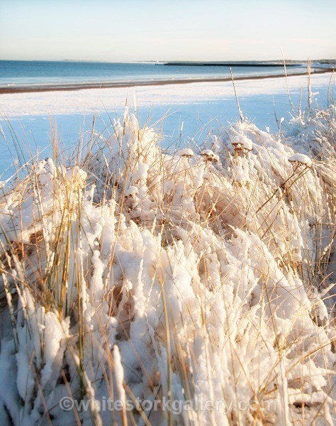 Central Beach, Nairn - January - Nairn, Scottish Highlands - Zero Miles