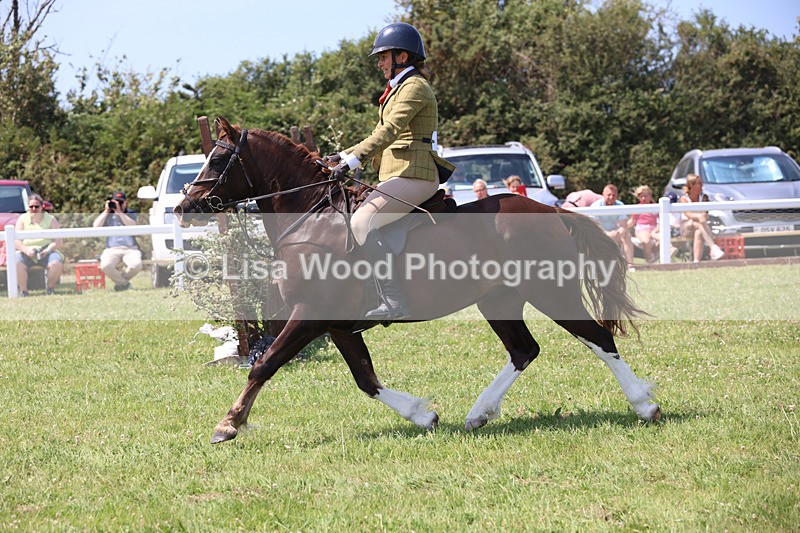 JPP_3048 - Class 22: Working Hunter 70cm
