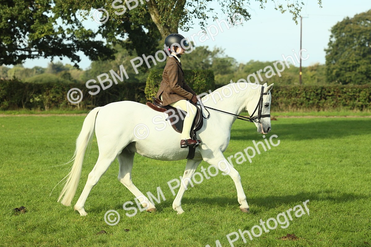 SBM_59836 - S38 - Starters Ridden Showing