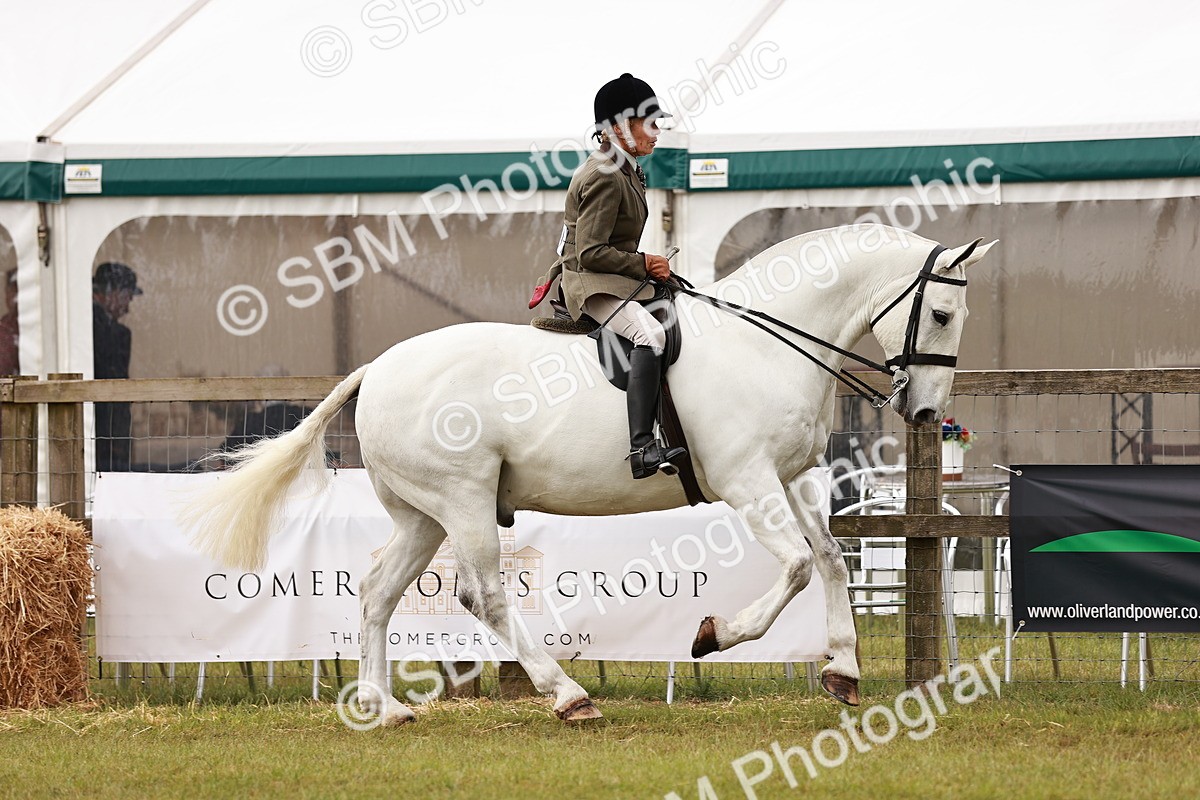 SBM_12994 - Class 85-87 - RIHS Cobs