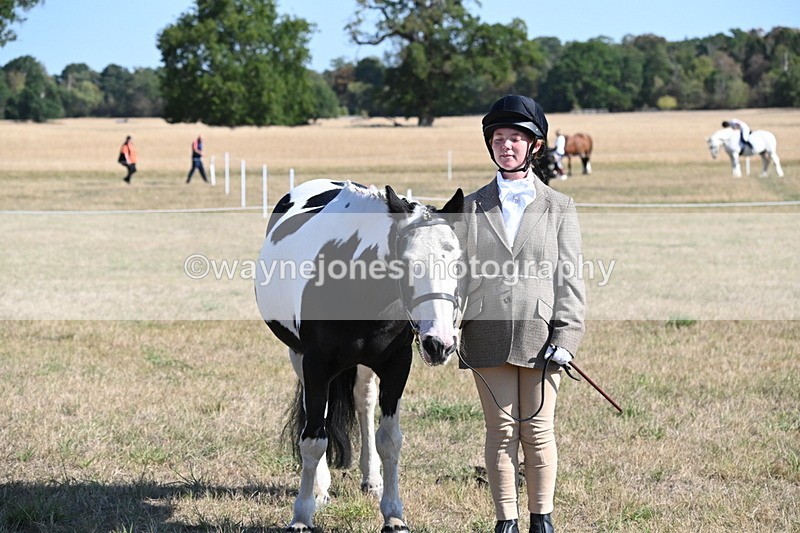 WJ6_7298 - Class 33 Rescue Pony