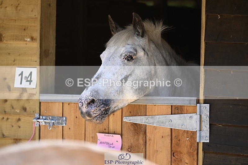 240728B-114817-00336 - Sunday Stable Shots and Fancy Dress