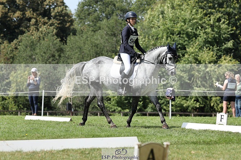 250823A-140724-31472 - Arena D