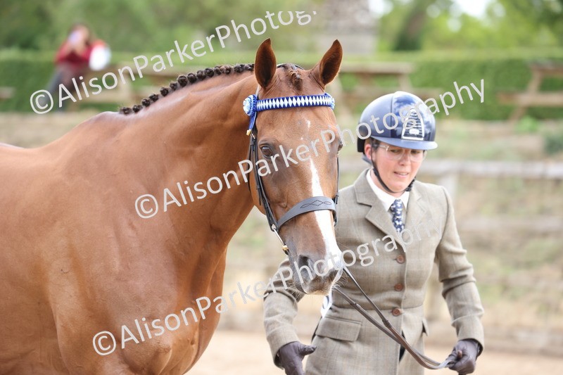 20260831-1972 - Class 5 - Retraining of Racehorses