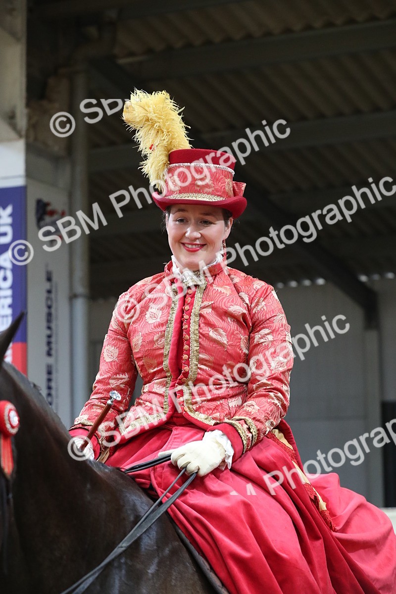 SBM_12159 - Class 107 Ridden Costume- Astride Adult (20+)