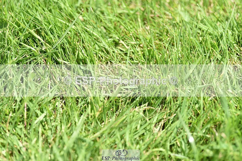 240605-135440-00535 - Cls 5 Elementary 43