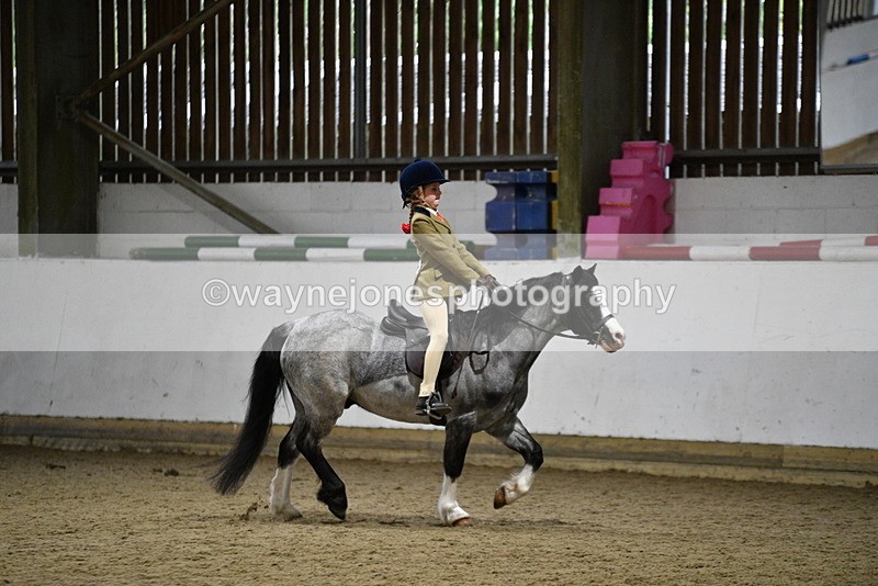 WJ5_8297 - Class 14 Novice Ridden/Rider