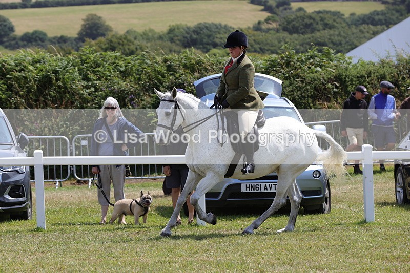 1X9A4570 - Class 34: Veteran Ridden