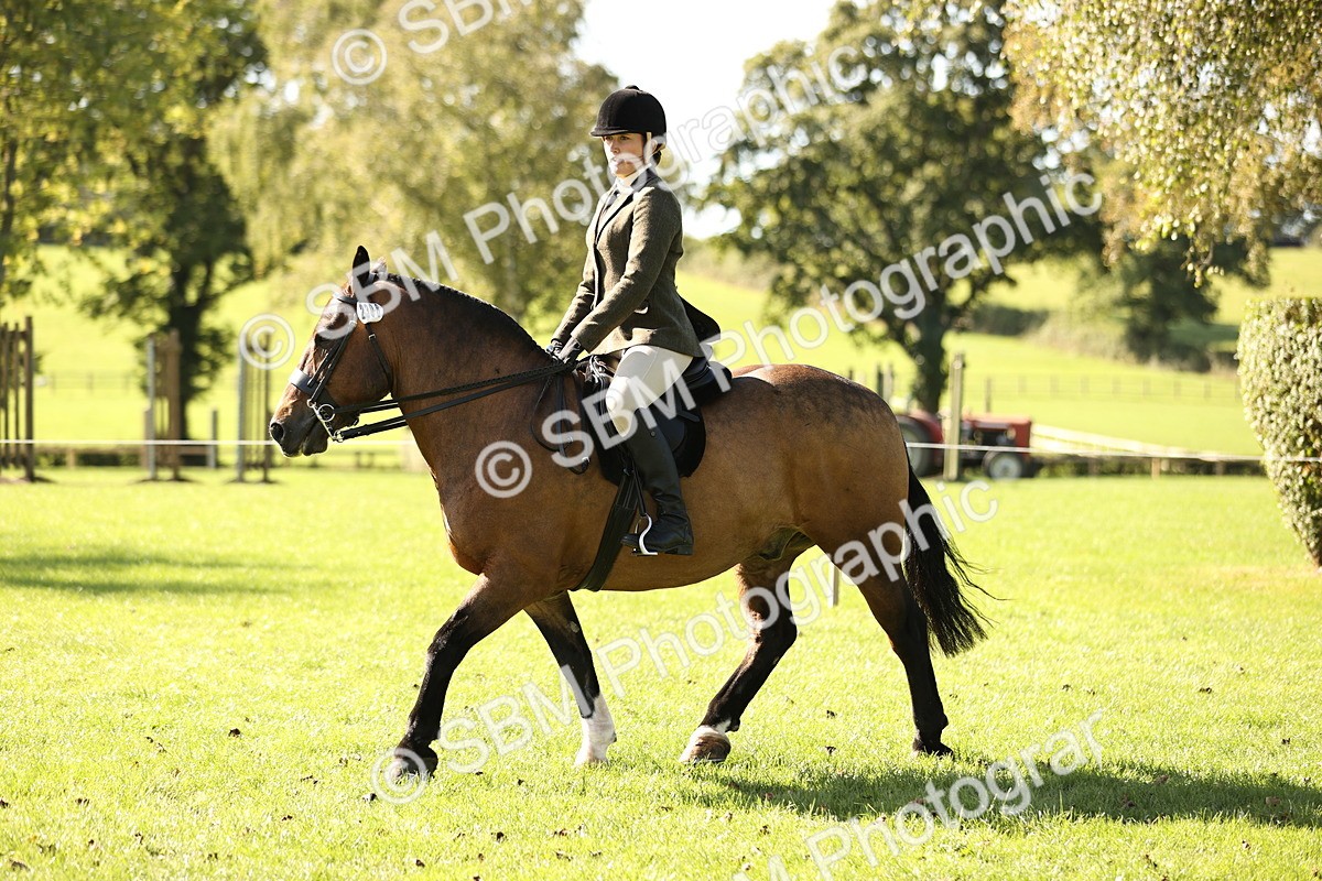 SBM_19085 - S3 - TSR Ridden Pony Showing