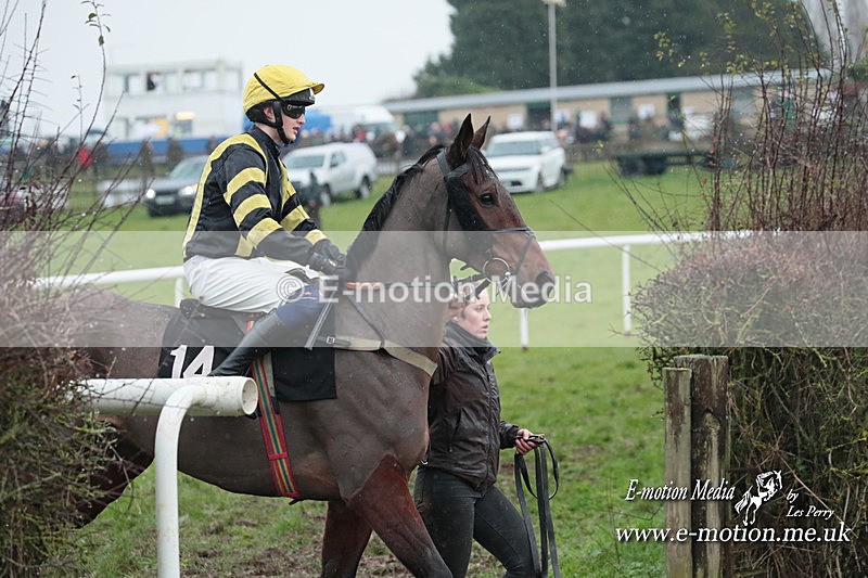 PtP 031223 636 - Wheatland Hunt PtP Chaddesley Races 03/12/23