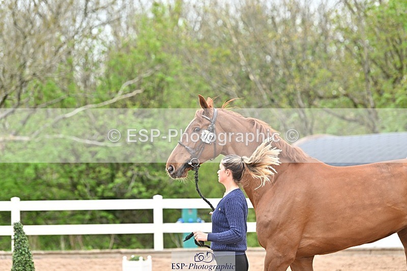 250423-162733-02169 - 4pm to 5pm