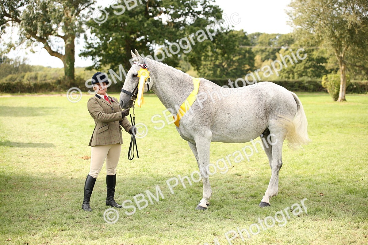 SBM_44519 - S24 - Young Veteran in hand
