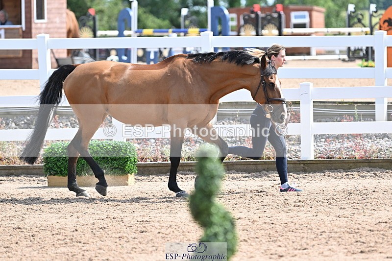 240717A-154236-03004 - Trot Up 3pm to 4pm