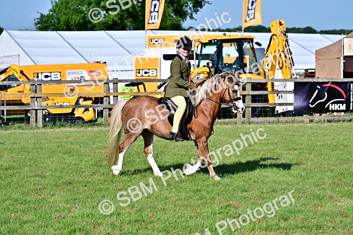 SBM_19865 - Class 103 - 105 - TSR Ridden Amateur of the Year Plaited Ponies
