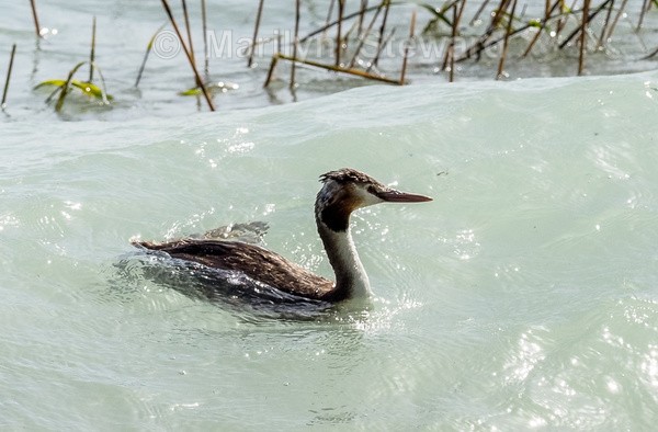 Lake Garda-1 - Lake Garda, Verona and Venice