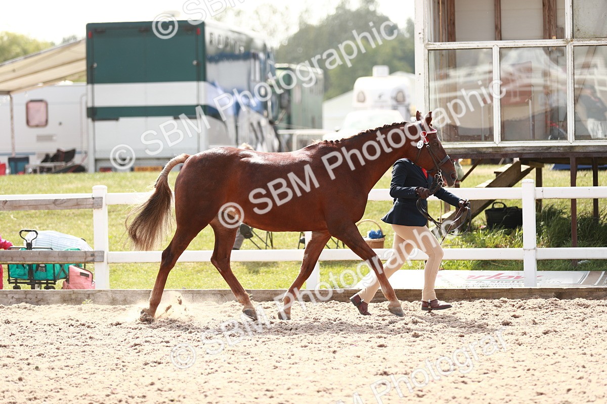 SBM_13856 - Class 209 IH Veteran Pony