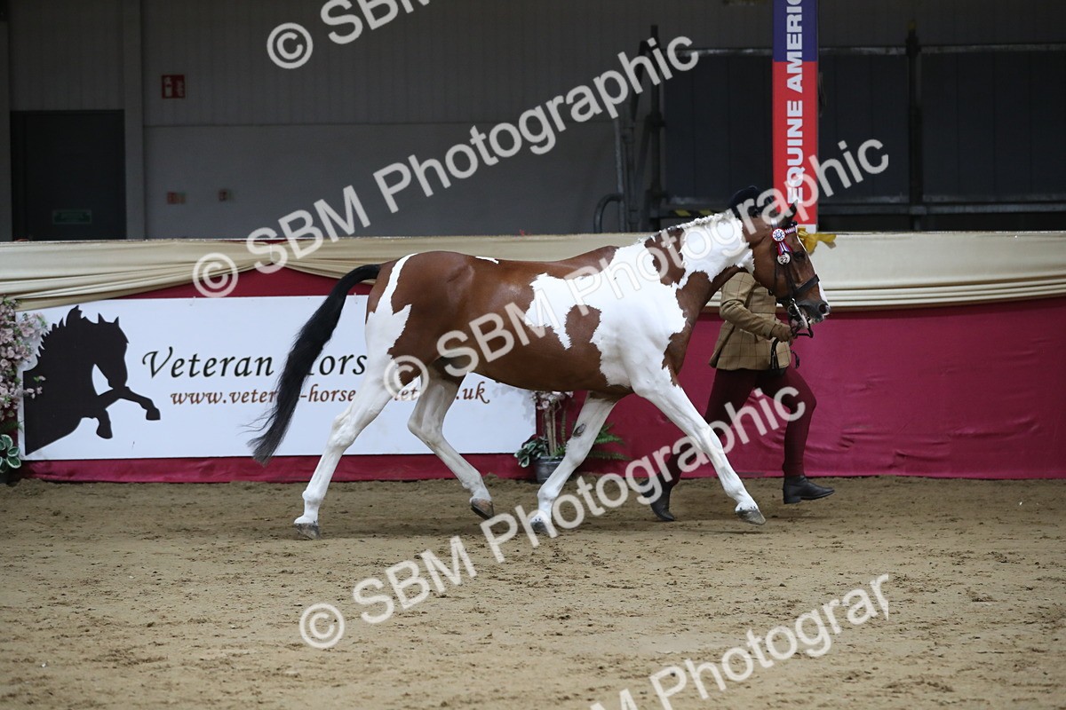 SBM_04983 - Class 8R- Regional -IH Veteran