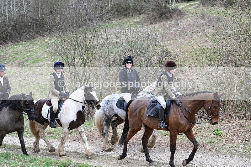 WJ7_7395 - Walk Home