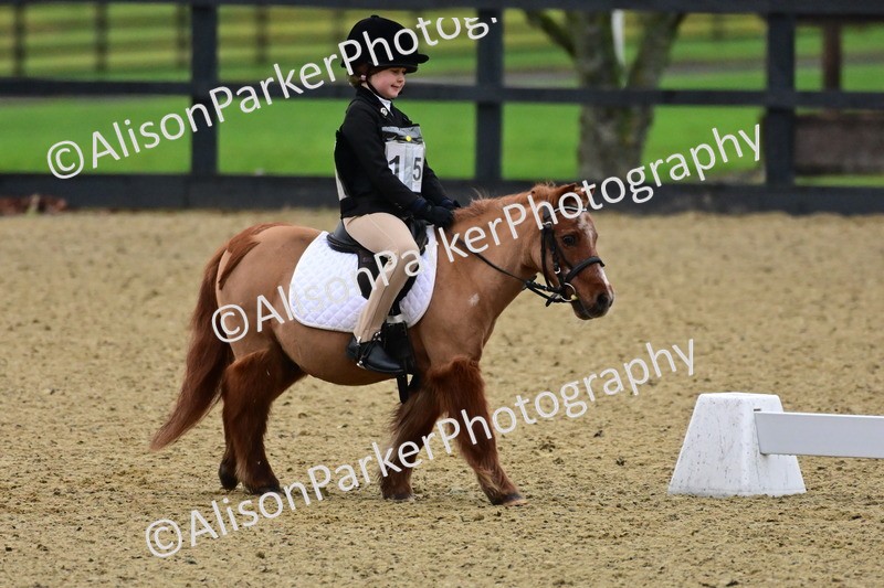 20260125-0558 - Class 9b - Walk Trot Unassisted