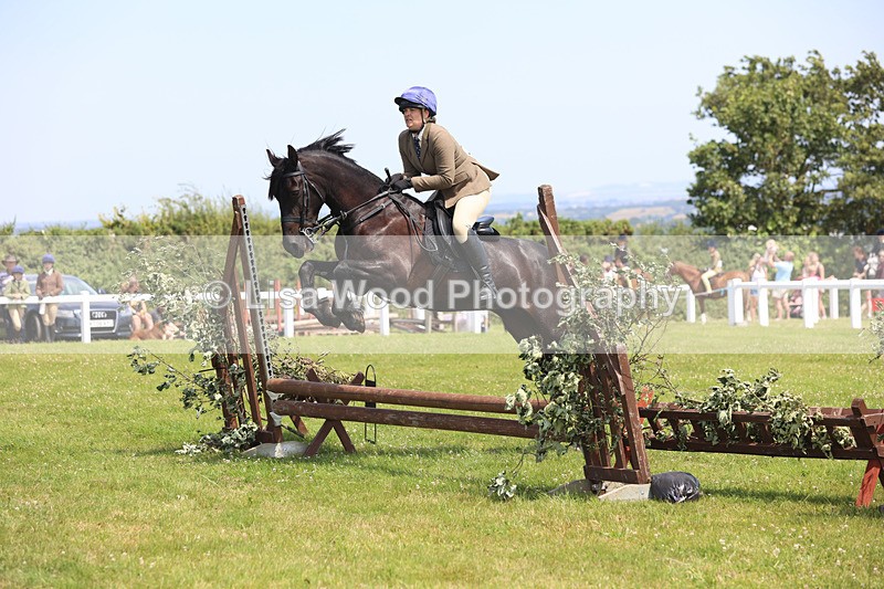 JPP_2548 - Class 21: Working Hunter 60cm