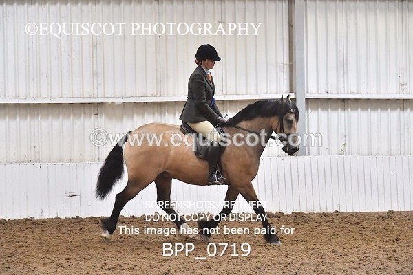 BPP_0719 - RING 2
